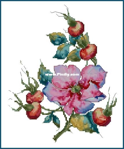 Ameli_Stitch_Rosehip_Anna_Smith ( Kuznetsova ).jpg