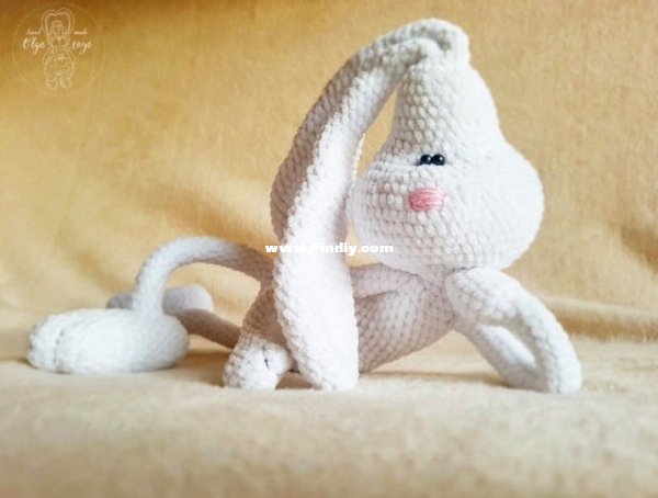 2 bunny.jpg
