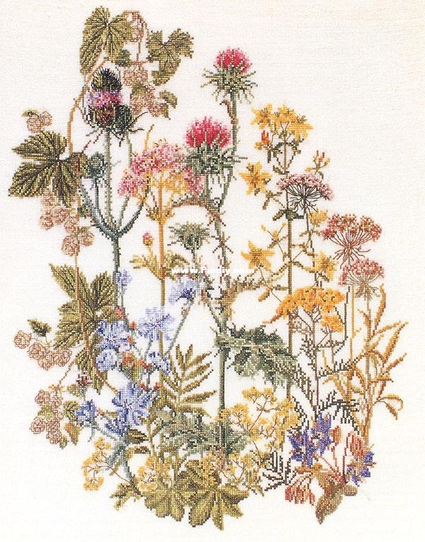 TG 0424 OK Herb Panel.jpg