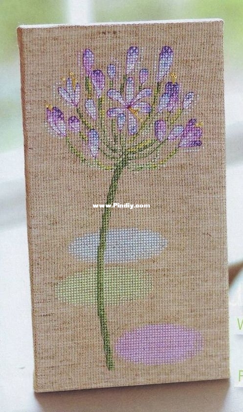 CS 195 - Agapanthus.jpg