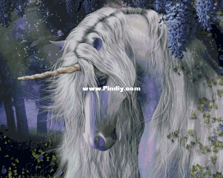 HAELAP101 OK XXX.JPG