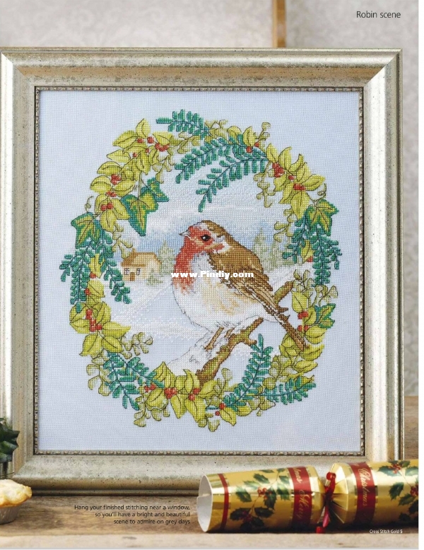 A Winter`s Morning  - Robin Scene-Pic.jpg