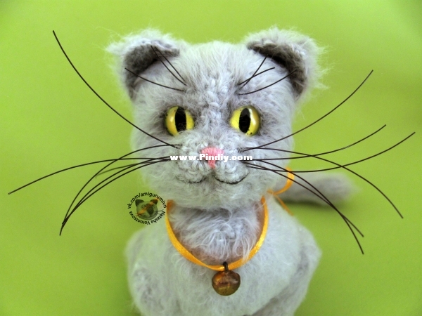 кошка муся4.jpg