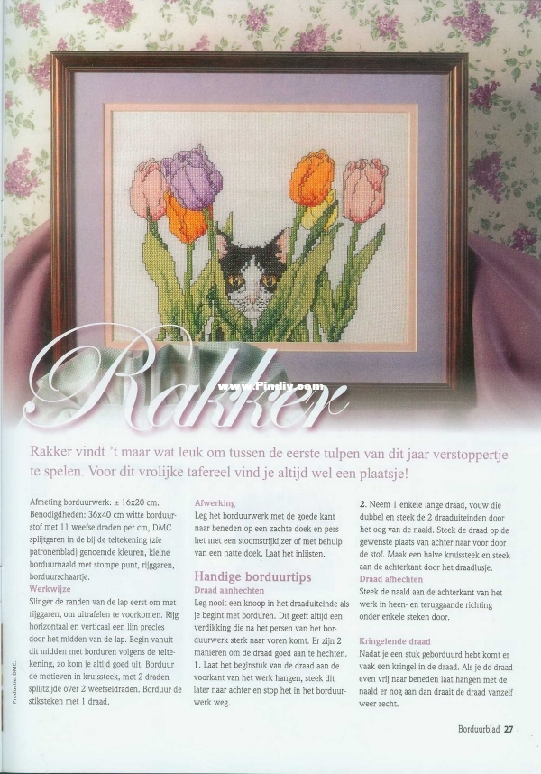 borduurblad 30 2009.2 febr 27.jpg