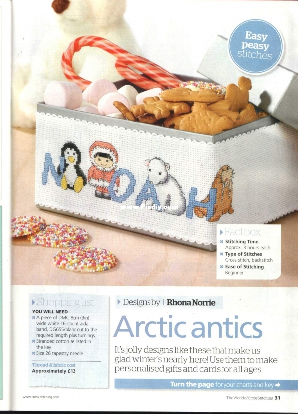 19.jpg