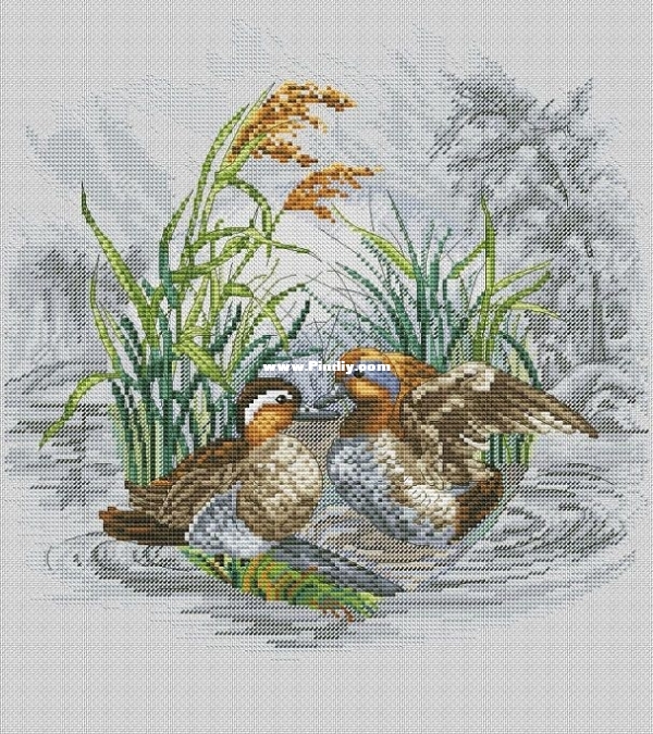 Окнеас - Мандаринки.jpg