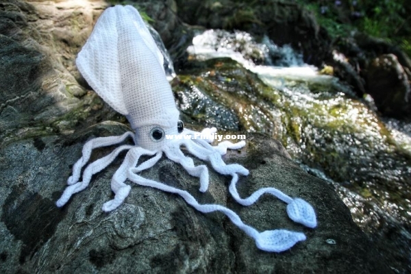 Crafty Intentions - Big Squid3.jpg