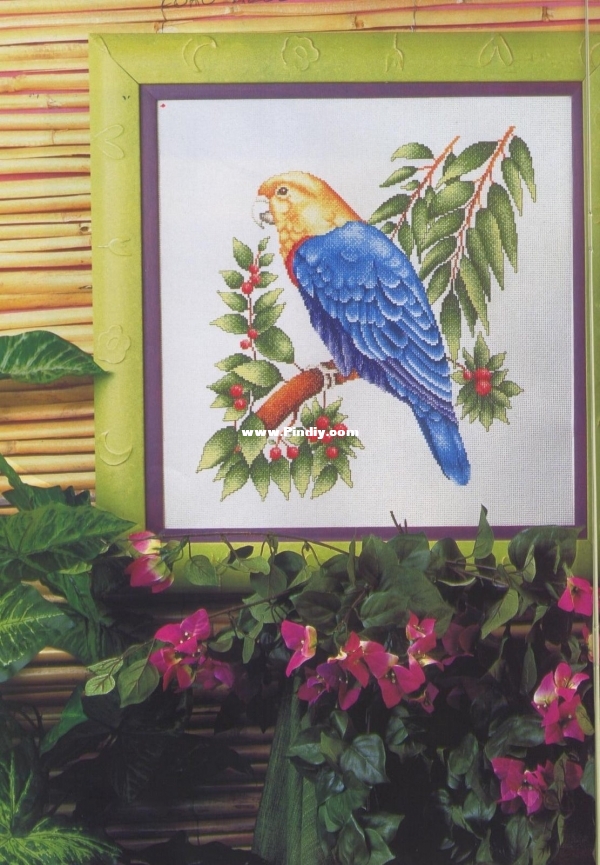 CUADROS 40- Loro Azul.jpg