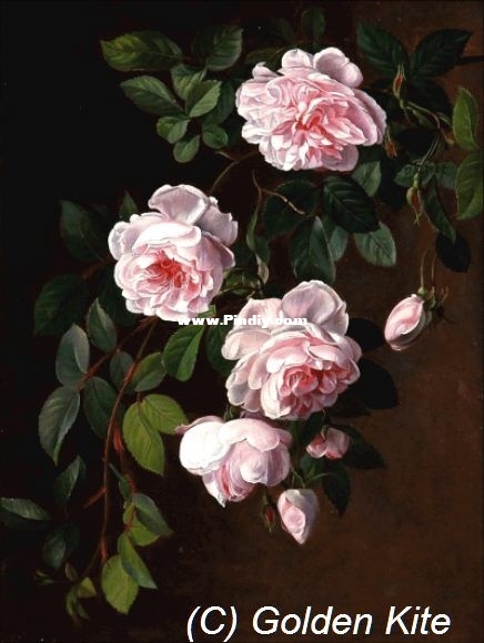 GK 2548 OK Roses.jpg