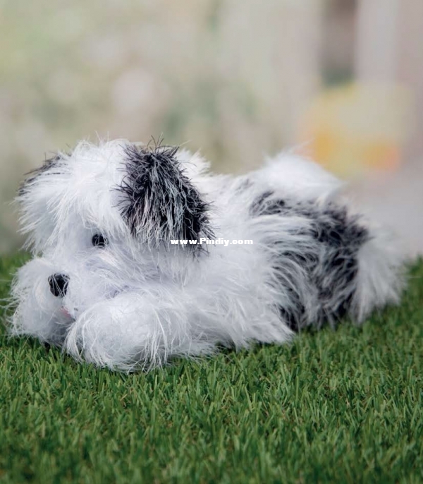 Shih Tzu by Amanda Berry.jpg