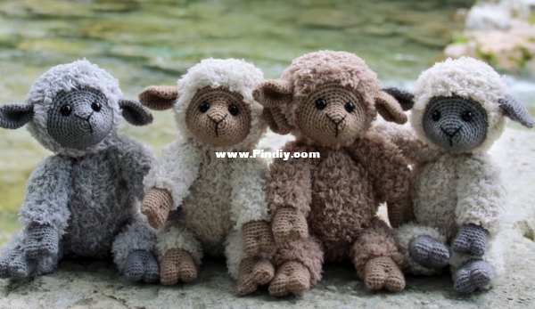 Teddy sheep