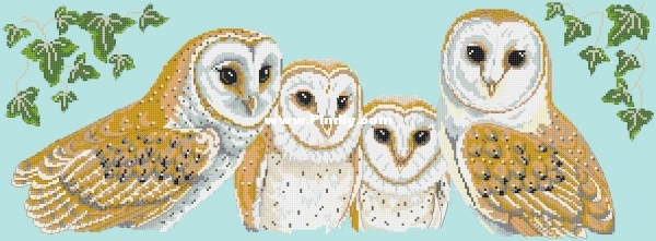 PCE706 Owls-PCS.jpg