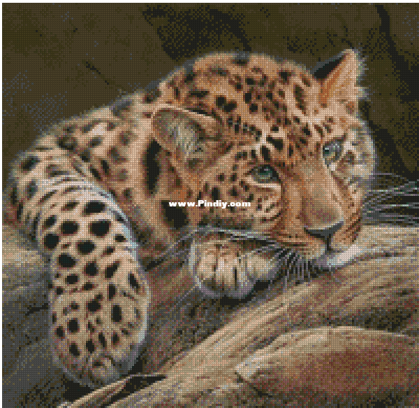 Gepard.png