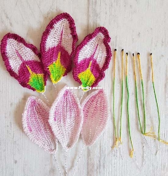 Day lily parts.jpg