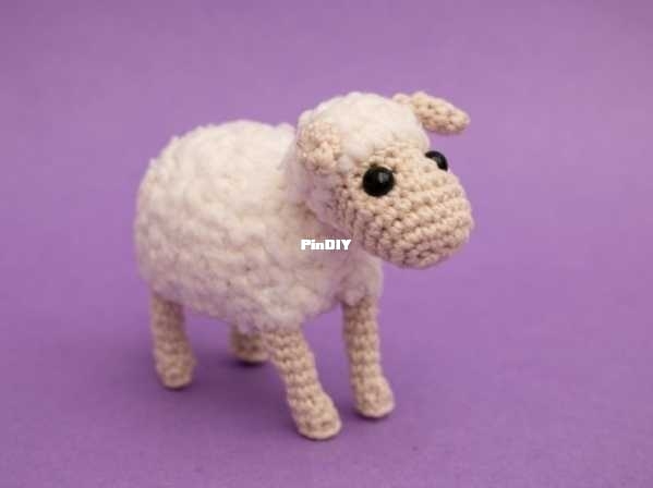 Little Sheep.jpg