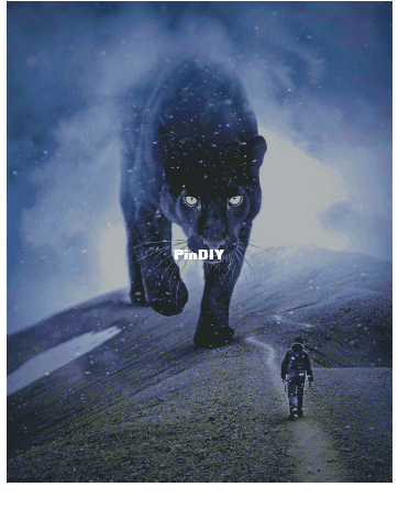 34216617_m.png