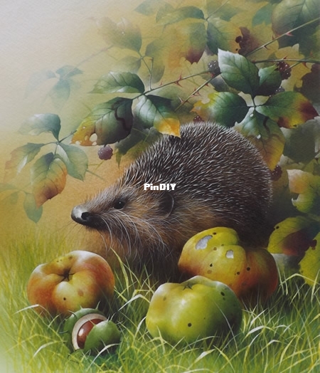 Bramley Hedge-Hog.jpg