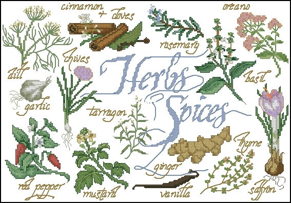 Janlynn 09-69 Herbs and Spices.jpg