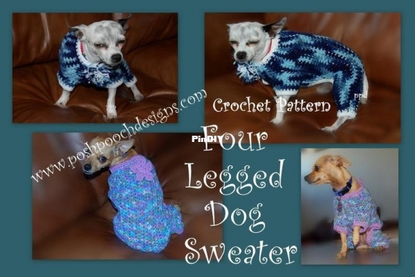 dog jammies.jpg