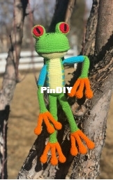Red The Tree Frog.jpg