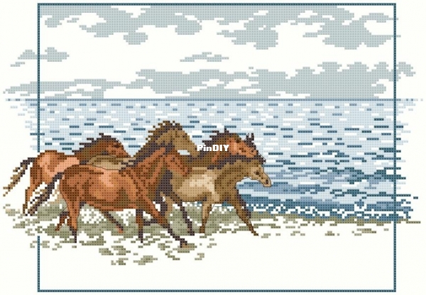 11303 Galoping Horses on the Beach-PCS.jpg