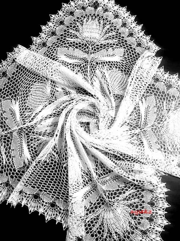 141918393_1578181065701227_7226210369466113856_n.jpg