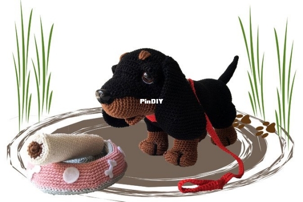 Colita - Nicole Wenzelmann - Dachshund Boni - Dackel Boni - Teckel Boni.jpg