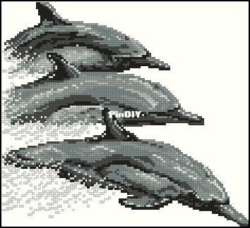 21600 Dolphins.jpg