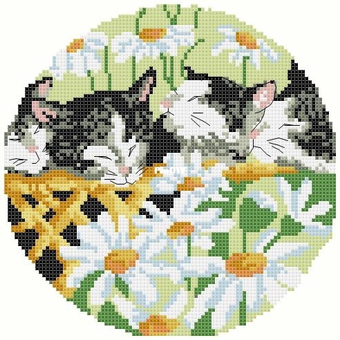 33050 Cats Sleeping-PCS.jpg