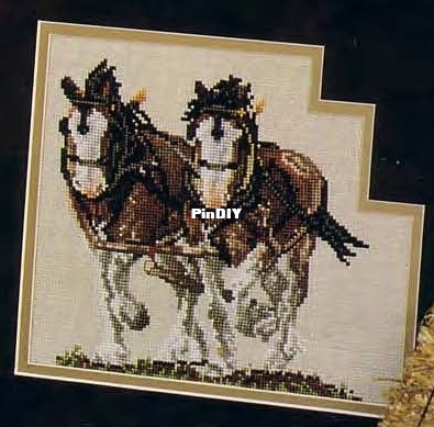 Clydesdale Team.jpg