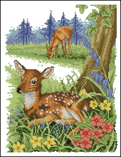 Anchor AD168 FAWN_1.jpg