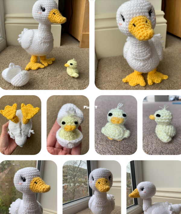 duck.png