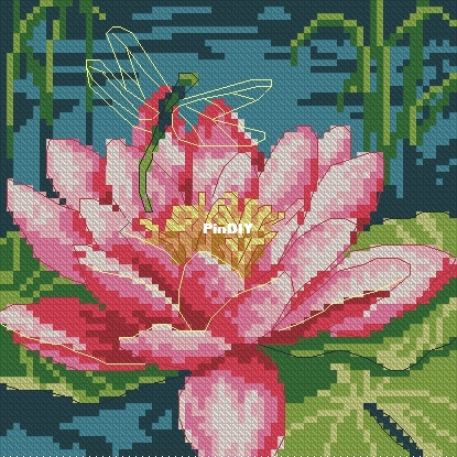 Dim 71-07240 OK XXX.JPG