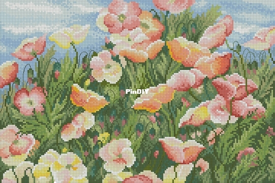 DMCBK 210 OK XXX.JPG