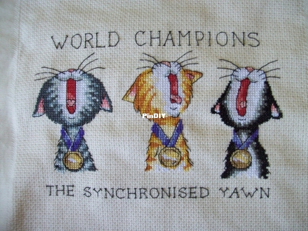 synchronised yawn 006.JPG