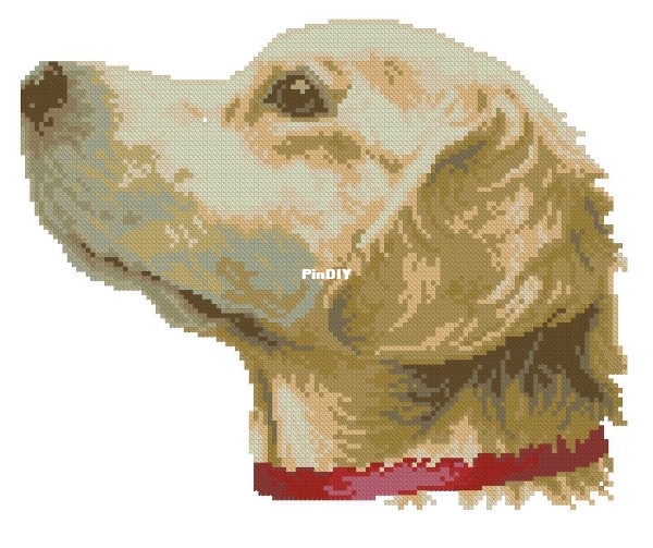 1.JPG