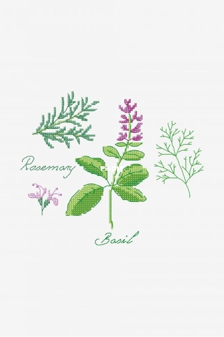 DMC Herbs - Basil.jpg