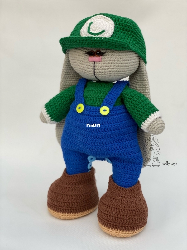 Luigi Gala Toys Shop.jpg