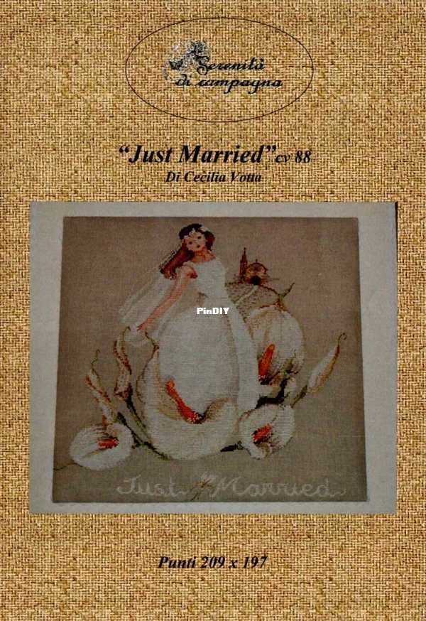 CV-88 Just Married-pic.jpg