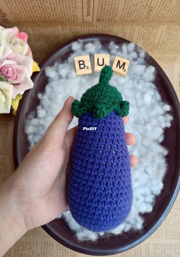 CÀ TÍM Eggplant (2).jpg