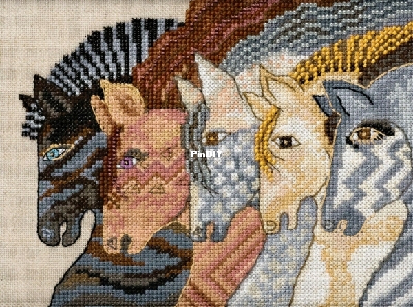 Moroccan Mares.jpg