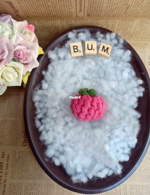 MÂM XÔI Raspberry (1).jpg