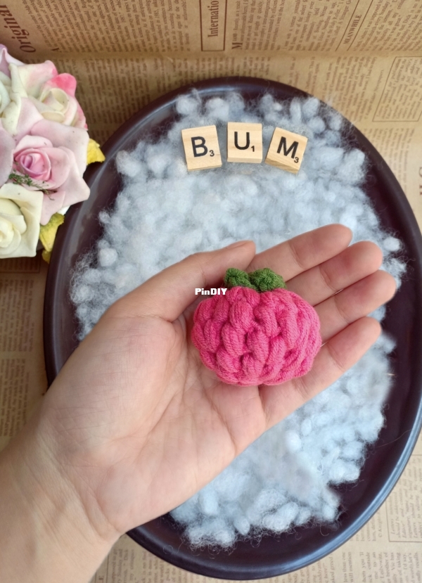 MÂM XÔI Raspberry (2).jpg