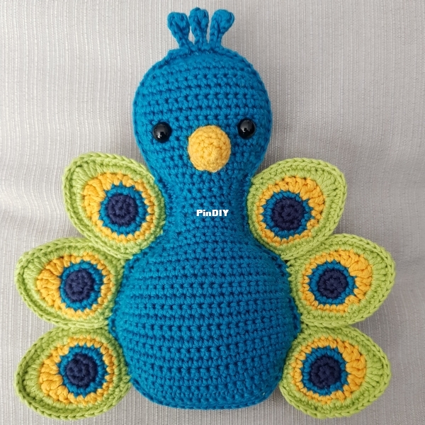 Peacock front