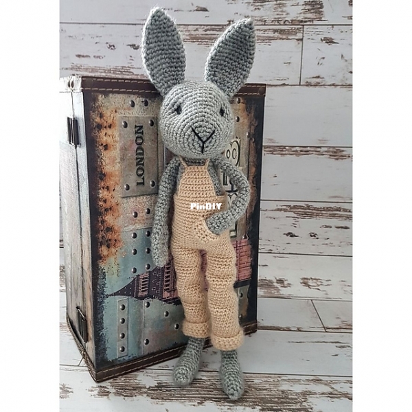 robi bunny OK.jpg