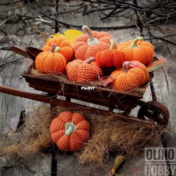 Pumpkins in 5 Variations.jpg