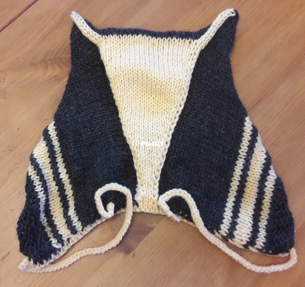 2021 10 08  Kitty hat (3).jpg
