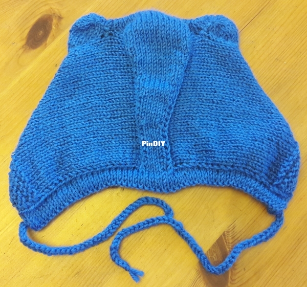 2021 10 08 Bear hat (3).jpg