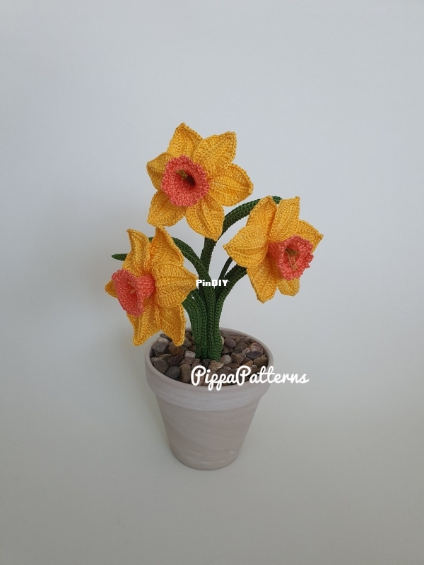 daffodil.jpg