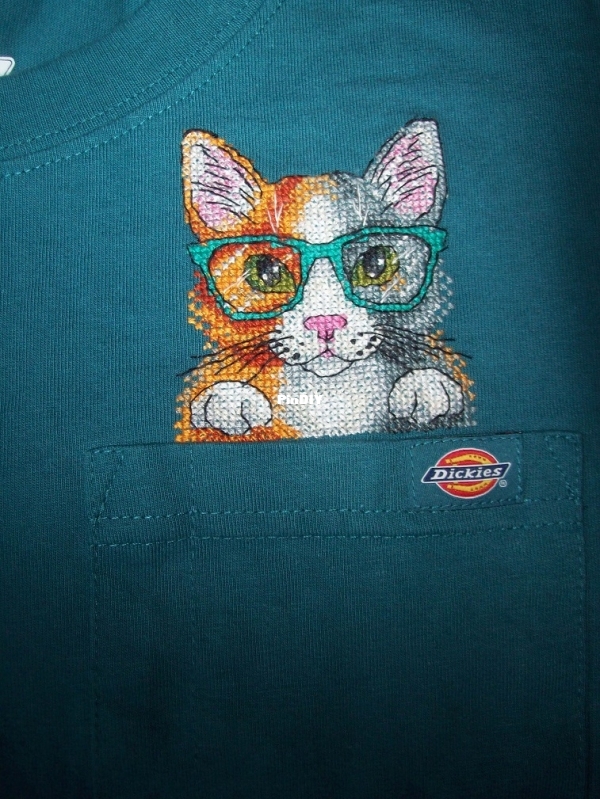Calico cat with glasses 006.JPG